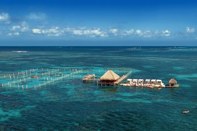 Reef Explorer Half Day Trip - Kayaks, paddleboards, and an underwater scooter