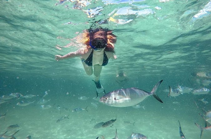 Reef Explorer Half Day Trip - Why the $149 price may or may not work for you