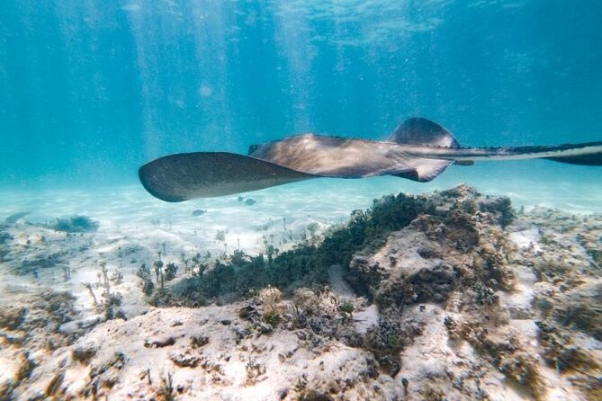 Reef Explorer Half Day Trip - A 15-minute massage breaks up the water time
