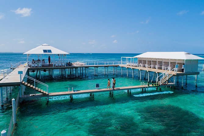 Reef Explorer Multiple activity Excursion from Punta Cana by Marinarium - Key points at a glance