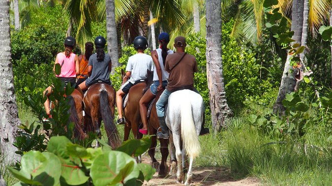 Ride Horses on the Beach - From Las Terrenas to Rancho Playa