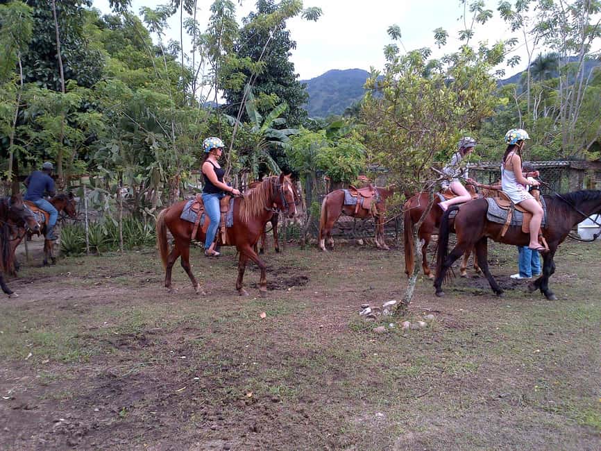 Ride N Zip Adventure in Puerto Plata - Eight Zip Lines and 7,900 Feet of Cable
