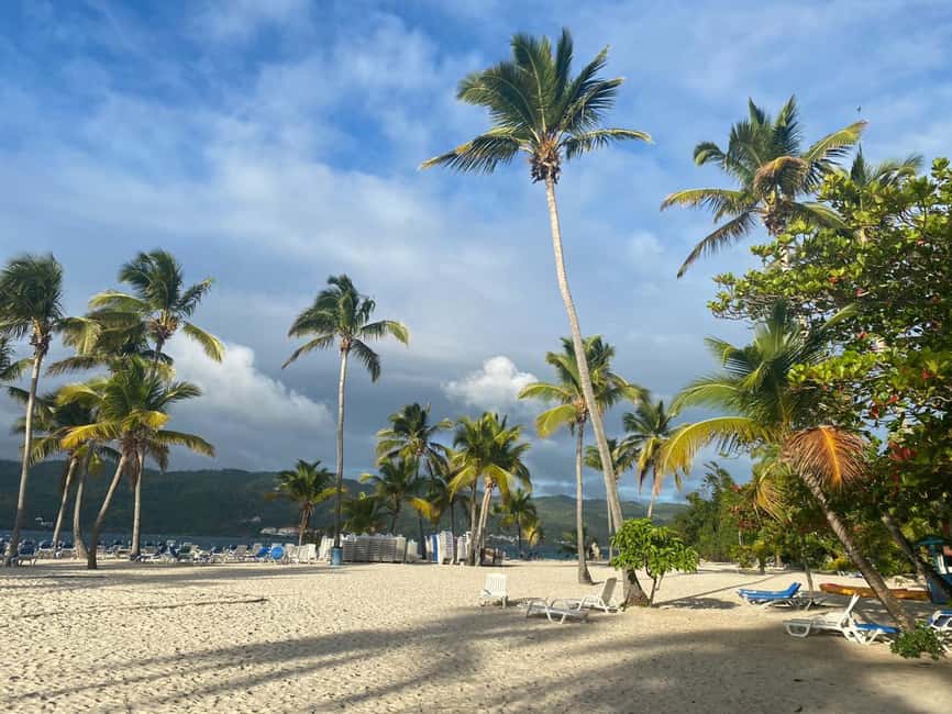 Rincon Beach and Cayo Levantado from Punta Cana - Cayo Levantado: coconut palms and a three-hour pause