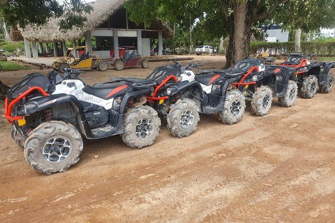 River Cave and Macao Beach Half-Day Quad Bike Adventure - Swimming in the underground river cave