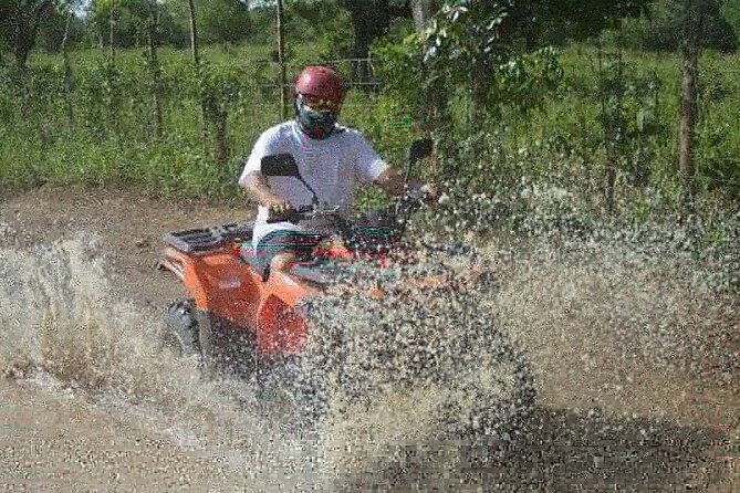 River Cave and Macao Beach Half-Day Quad Bike Adventure - Is $79.99 a fair price?