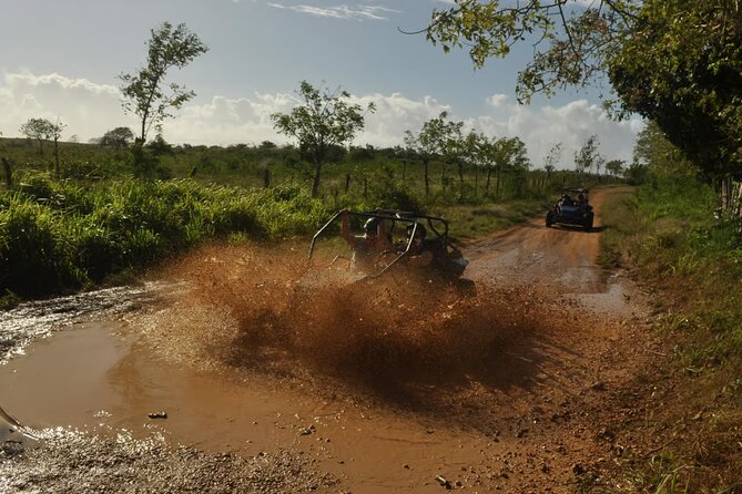 Rivers, Jungle with Buggies Adventure in Bayahibe - Jungle trails and the muddy return ride