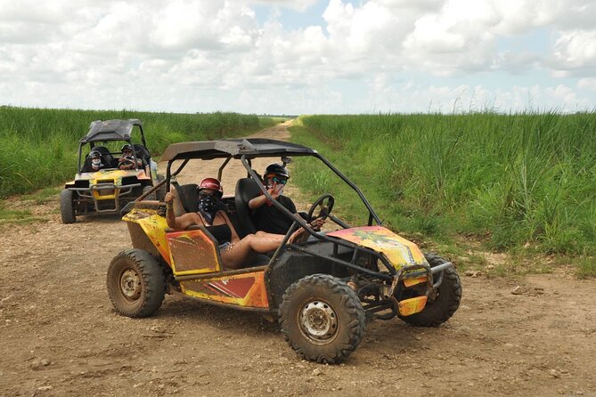Rivers, Jungle with Buggies Adventure in Bayahibe - Sugar cane fields and the Dominican countryside