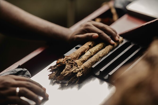 Roll your Own Cigar in Puerto Plata - Is $100 a fair price?