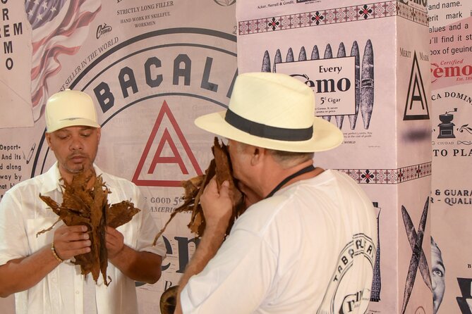 Roll your Own Cigar in Puerto Plata - Choosing tobacco by aroma and feel