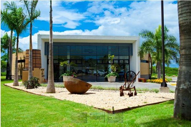 Ron Barcelo Anejo Experience Factory Tour - Key points to know before you go