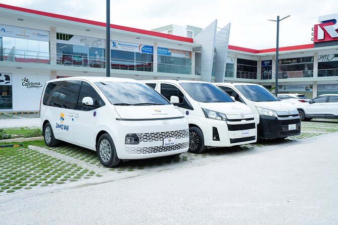 Round Trip Top-Rated Punta Cana Airport Transfer to your Hotel - The local crafts shopping stop