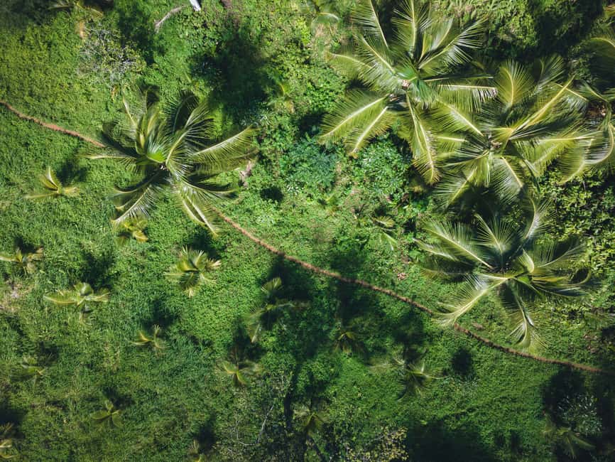 Sabana de la Mar: Los Haitises Guided Hike and Kayaking - San Lorenzo Bay, caves, and open water