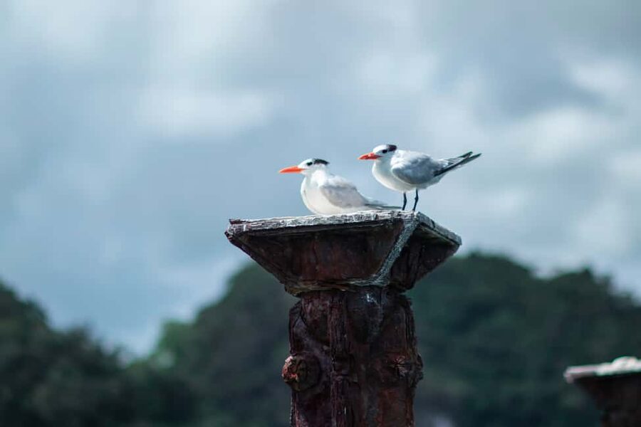 Sabana de la Mar: Los Haitises Guided Hike and Kayaking - Weather, clothing, and comfort