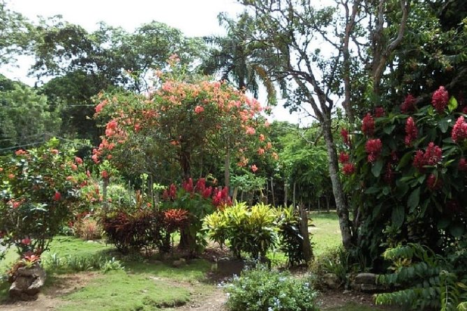 Safari Adventure - Full Day - From Punta Cana - Higüey’s Basilica of Nuestra Señora de la Altagracia
