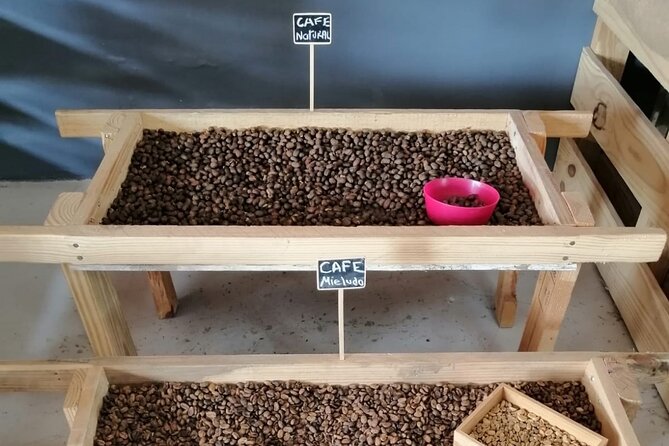 Safari discovery to Boca De Yuma – Nature, Discovery And History Of A Population - The coffee factory starts the day with something tangible