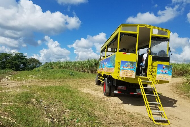 Safari Half Day Experience - Coffee, cocoa, and tobacco turn crops into a lesson
