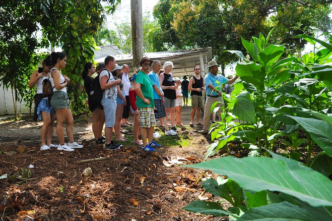 Safari Supreme Full Day Outdoor Adventure Punta Cana - A Dominican lunch with drinks included