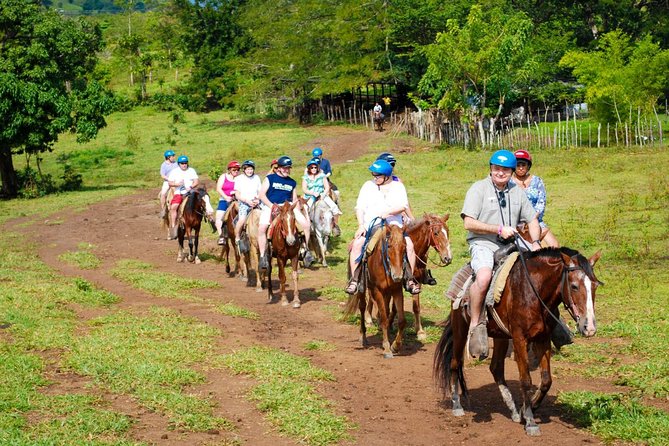 Safari Tour from Punta Cana - What the $65 price really covers