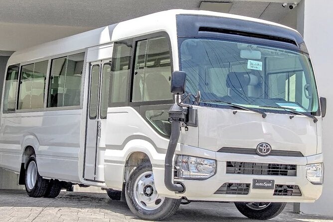 Safe transport and shuttle service in Punta Cana Dominican Rep. - Meeting David, Delvy, and the human side of the ride