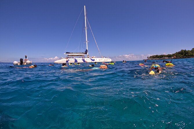 Sailing Catamaran Excursion - Key things to know before you book