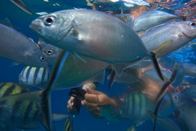 Sailing Catamaran Excursion - Barbecue lunch, fruit, snacks, beer, and rum