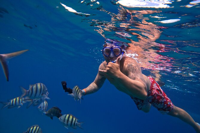 Sailing Catamaran Excursion - Three snorkeling stops, with some flexibility