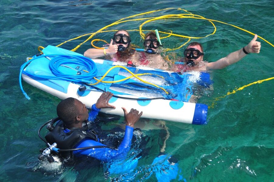 Sailing Splash Tour Speedboat, Snorkel, and Catamaran - Sharks, stingrays, and the ocean platform lunch