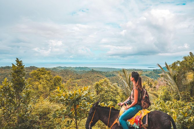 Samana: Cayo levantado ( Bacardi Island) & El Limon Waterfalls from Punta Cana - Key points to know before booking