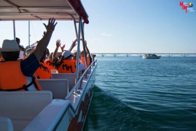 Cayo Levantado Day Trip by Boat
