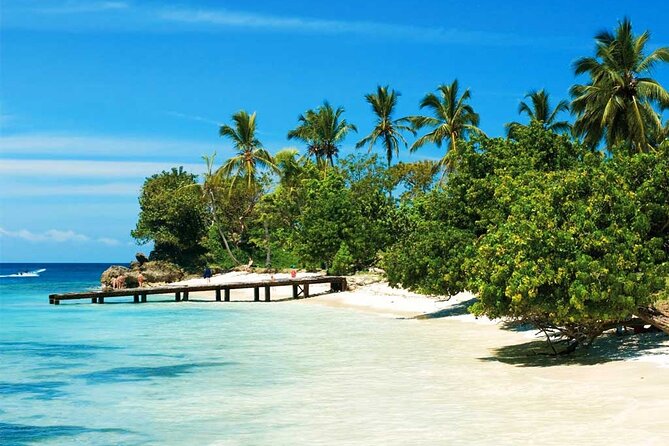 Samana + Cayo Levantado + Horseback Riding from Punta Cana with Lunch - Reaching El Limón Waterfall