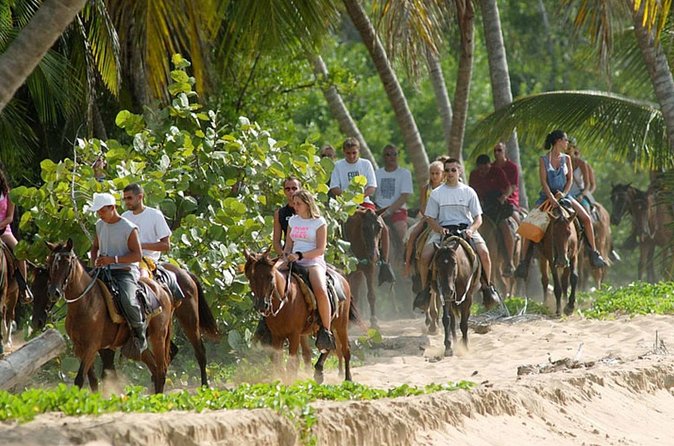 Samana + Cayo Levantado + Horseback Riding from Punta Cana with Lunch - Returning to Samaná and heading to Cayo Levantado