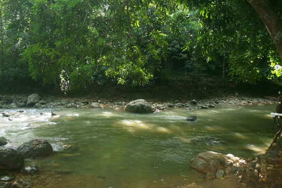 Samaná: El Limón Waterfall Horseback Riding Tour - Why El Limón Waterfall makes this outing special