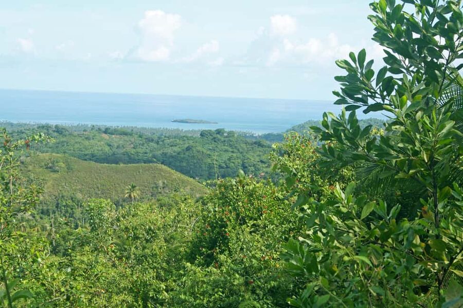 Samaná: El Limón Waterfall Horseback Riding Tour - The ride through Samaná countryside