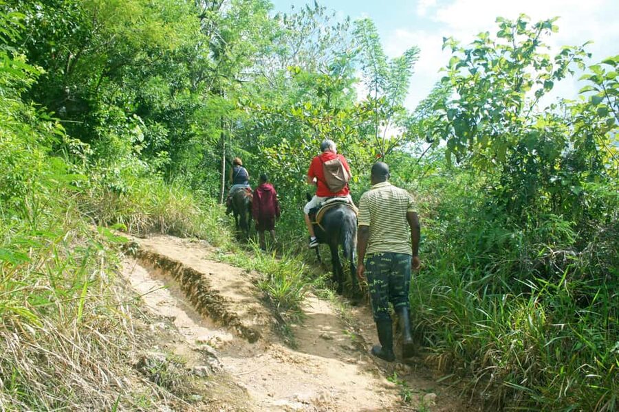 Samaná: El Limón Waterfall Horseback Riding Tour - Is $60 a fair price?