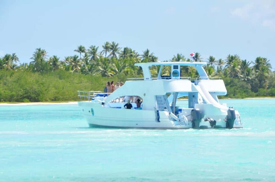 Samana: Half Day Whale Watching Humpback Whale Watching - The catamaran ride across the bay
