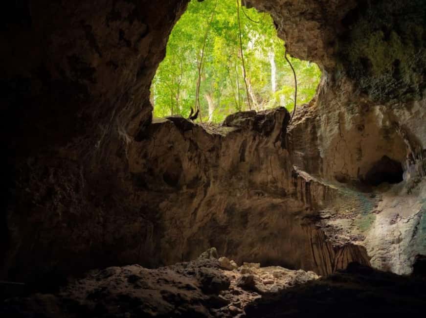 Samana: Los Haitises Kayaks & Caño Hondo Pools Tour w/ Lunch - The Day Runs on Ferry Times