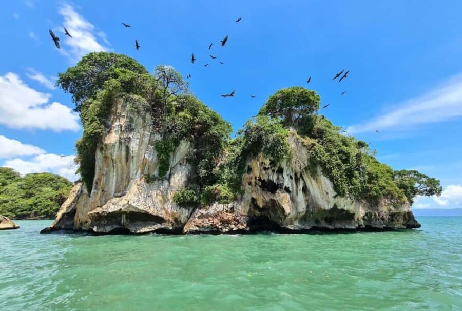 Samana: Los Haitises Kayaks & Caño Hondo Pools Tour w/ Lunch - Should You Book the Los Haitises and Caño Hondo Tour?