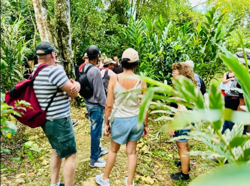 Samana: Los Haitises National Park & Caño Hondo Day Tour - Dominican lunch on a quiet beach