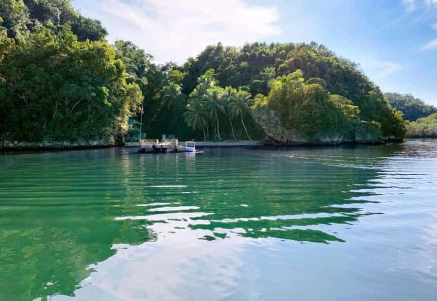 Samana: Los Haitises National Park & Caño Hondo Day Tour - Swimming in Caño Hondo’s spring pools
