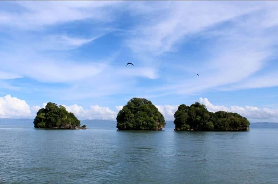 Samana: Los Haitises National Park & Caño Hondo Day Tour - From Sabana de la Mar to Los Haitises