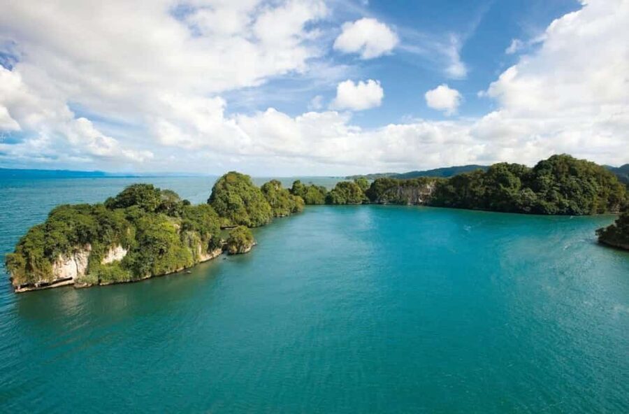 Samana: Los Haitises National Park & Cayo Levantado Tour - Reading the rock islands of Los Haitises