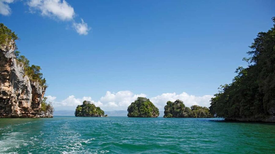 Samana: Los Haitises National Park & Cayo Levantado Tour - Price, pace, and who should book