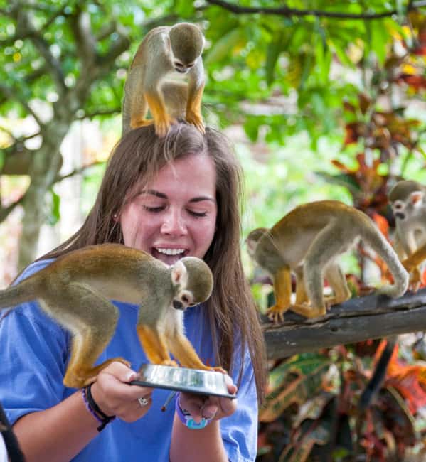 Samaná: Monkeyland and Open-Air Safari Truck Tour - Feeding Squirrel Monkeys in a Mountain Setting