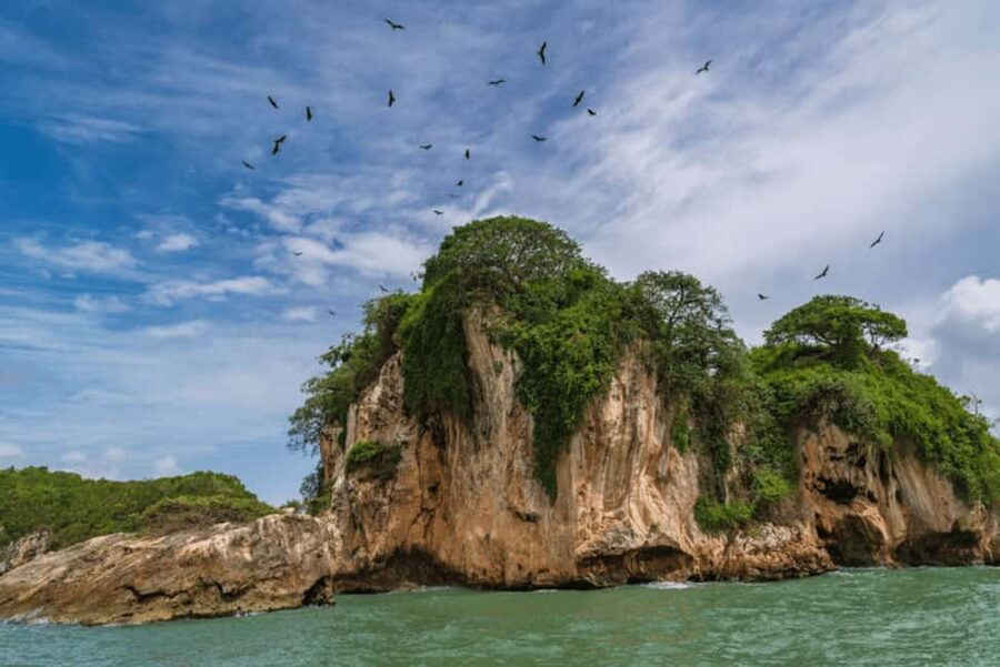Samana: Visit Samana, Los Haitises Park, and Cayo Levantado Island - Price, timing, and practical value