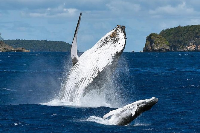 Samana Whale Watching + Cayo Levantado ( Bacardi Island) with Lunch by Locals - Cayo Levantado after the whales