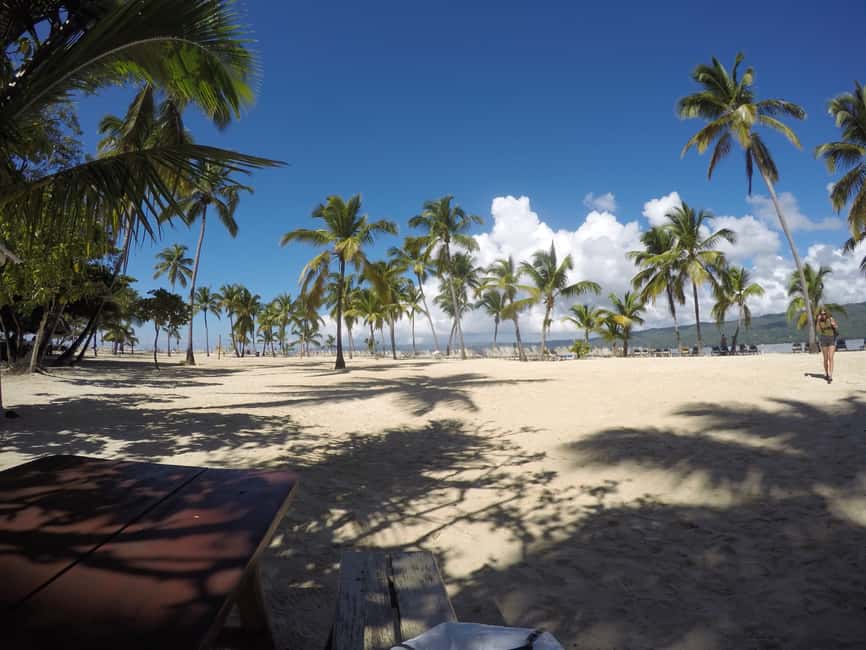 Samana: Whale Watching Tour - Who will enjoy this day most