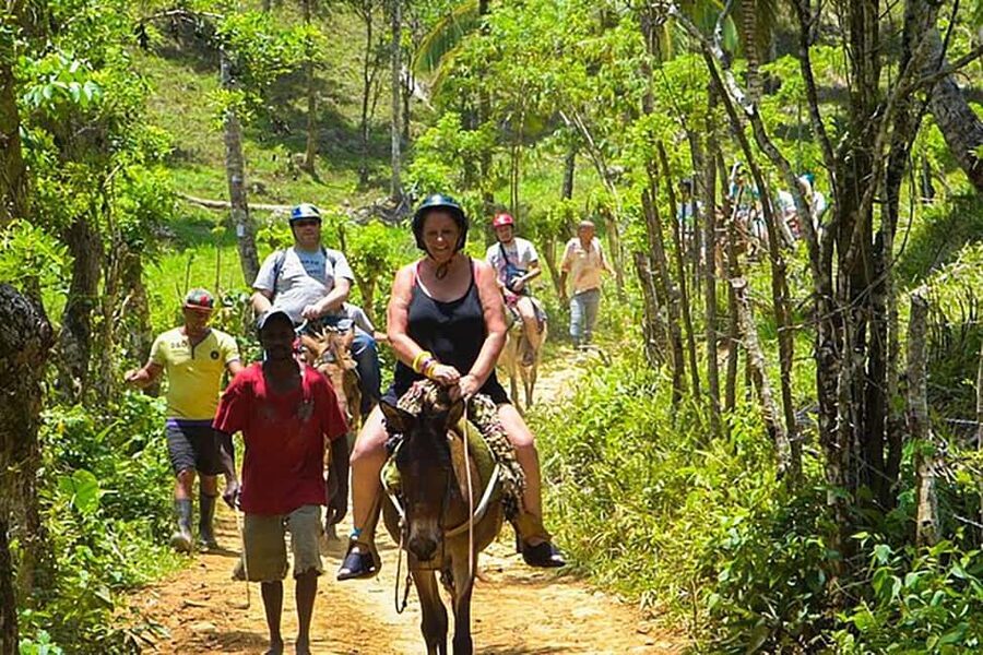 Samaná Whales Full Day, Cayo Levantado, Limón Waterfall - Why this Samaná day trip is so ambitious