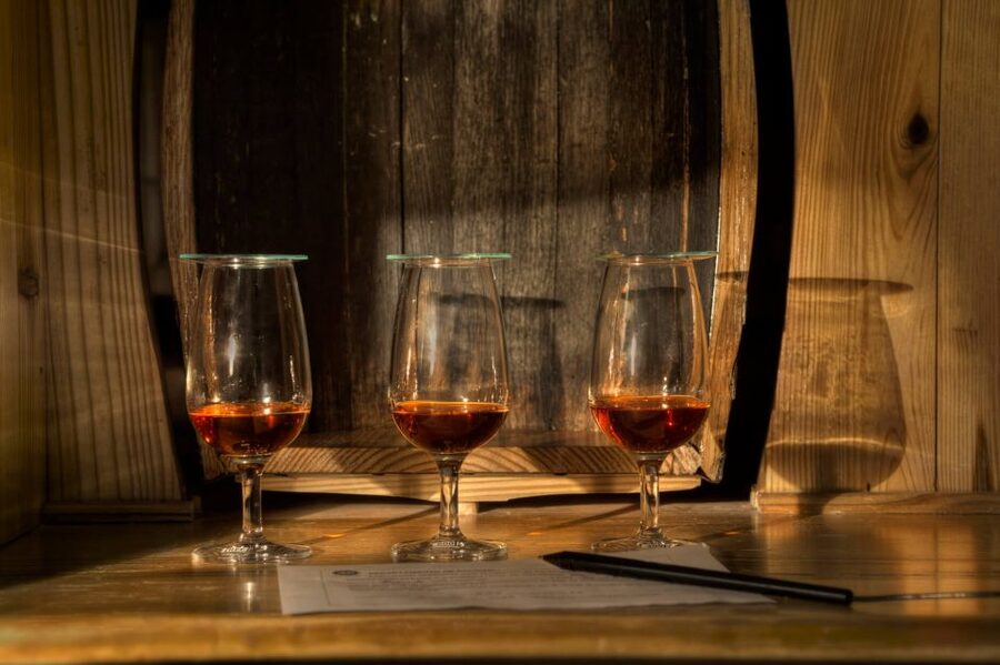 San Pedro De Macoris: Ron Barcerló Rum Factory Tour - Guides and language choices