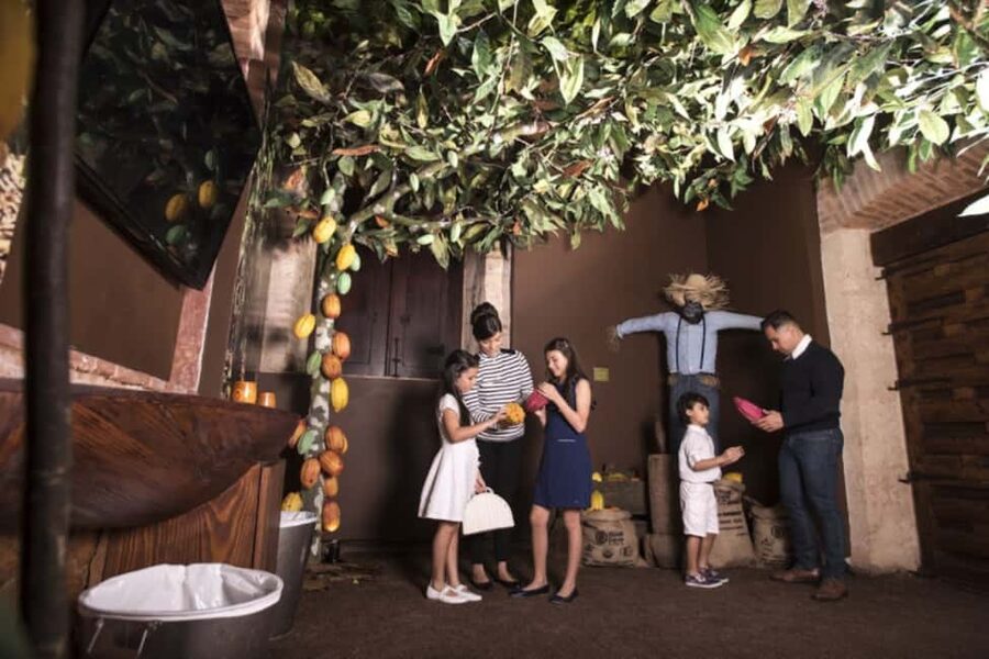 Santo Domingo: Chocolate Tour + Optional Workshops - Watching the factory through the glass box