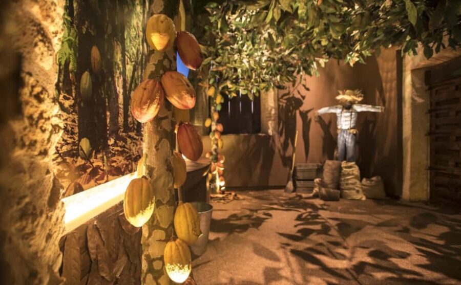 Santo Domingo: Chocolate Tour + Optional Workshops - Location, timing, and access